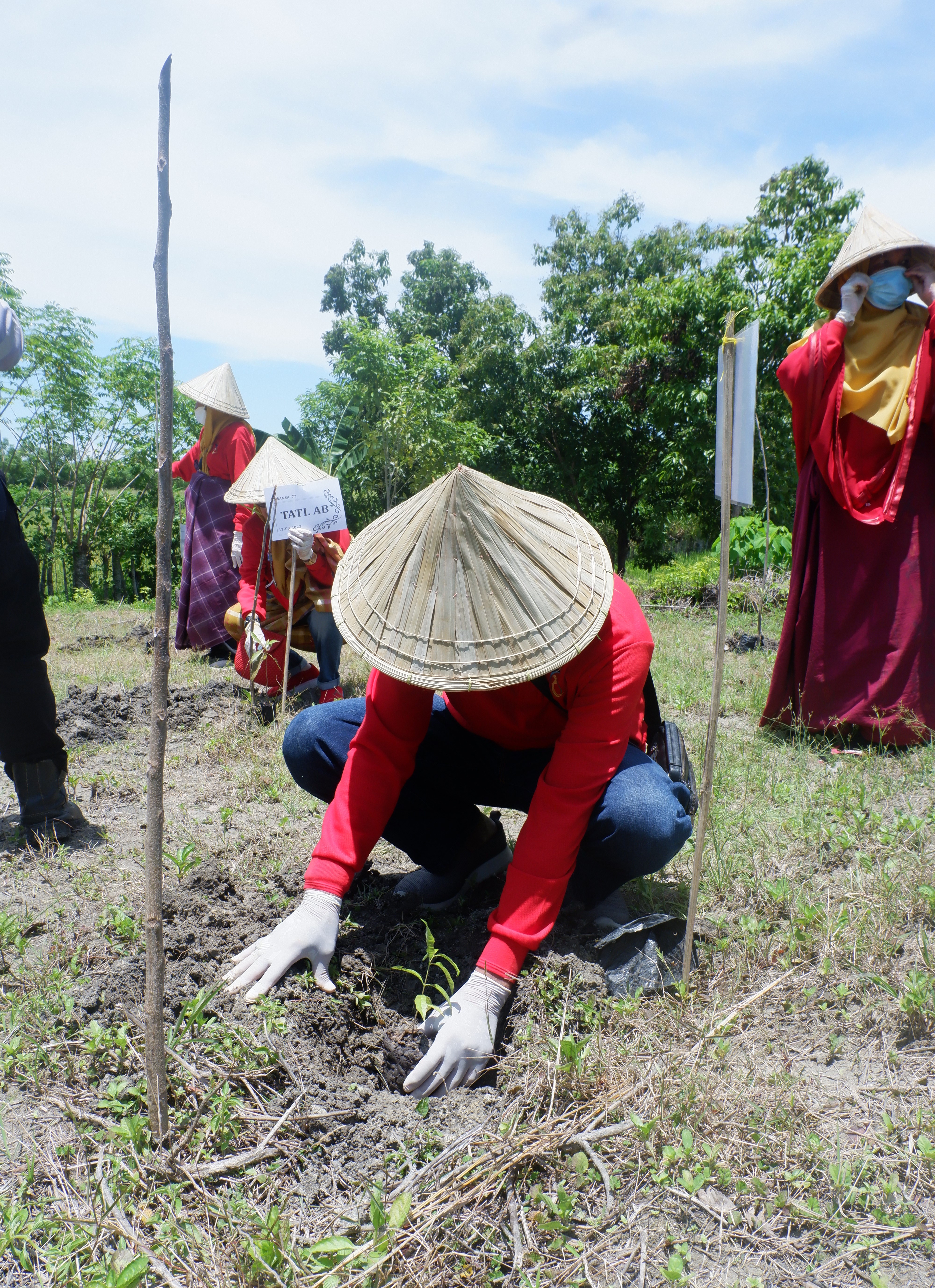 volunteer